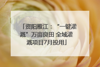 资阳雁江：“一键灌溉”万亩良田 全域灌溉项目7月投用