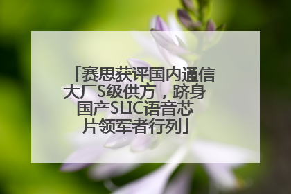 赛思获评国内通信大厂S级供方，跻身国产SLIC语音芯片领军者行列