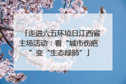 走进六五环境日江西省主场活动：看“城市伤疤”变“生态绿肺”