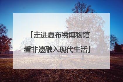 走进夏布绣博物馆 看非遗融入现代生活