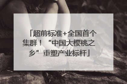 超前标准+全国首个集群！“中国大樱桃之乡”重塑产业标杆