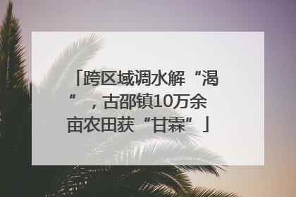 跨区域调水解“渴”，古邵镇10万余亩农田获“甘霖”