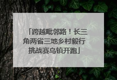 跨越毗邻路！长三角两省三地乡村毅行挑战赛乌镇开跑