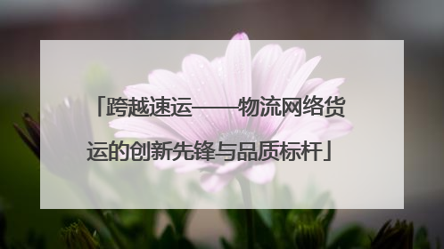 跨越速运——物流网络货运的创新先锋与品质标杆