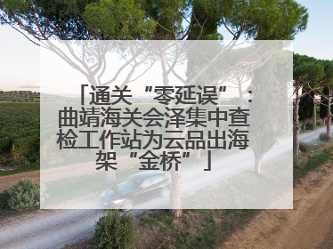 通关“零延误”：曲靖海关会泽集中查检工作站为云品出海架“金桥”