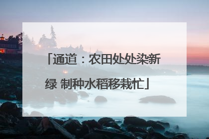 通道：农田处处染新绿 制种水稻移栽忙