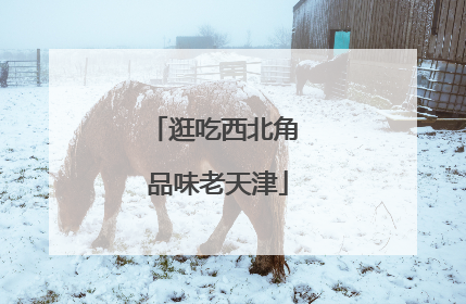 逛吃西北角 品味老天津