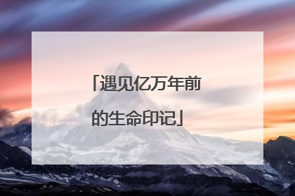 遇见亿万年前的生命印记