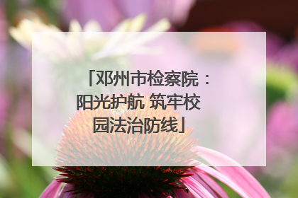 邓州市检察院：阳光护航 筑牢校园法治防线