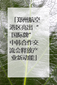 郑州航空港区亮出“国际牌” 中韩合作交流会释放产业新动能