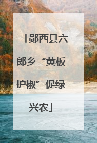 郧西县六郎乡“黄板护椒”促绿兴农