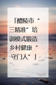 醴陵市“三精准”培训模式锻造乡村健康“守门人”