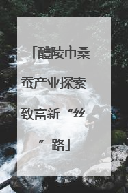 醴陵市桑蚕产业探索致富新“丝”路