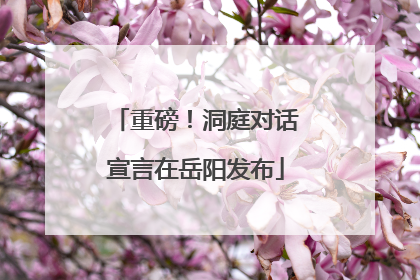 重磅！洞庭对话宣言在岳阳发布