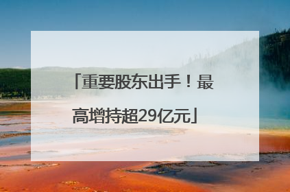 重要股东出手！最高增持超29亿元