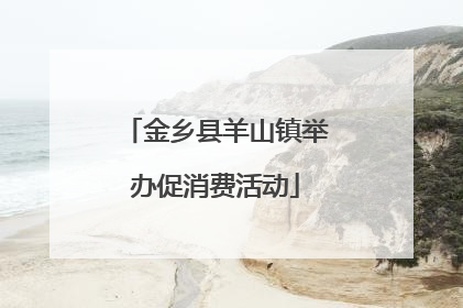 金乡县羊山镇举办促消费活动