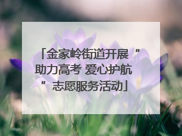 金家岭街道开展“助力高考 爱心护航”志愿服务活动