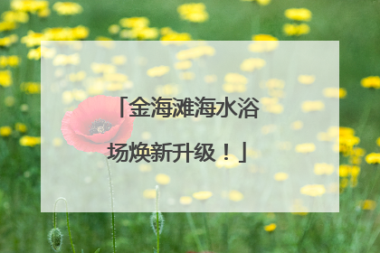 金海滩海水浴场焕新升级！