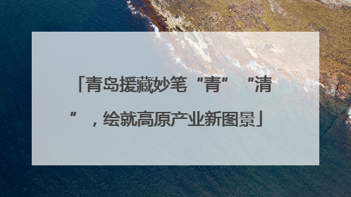 青岛援藏妙笔“青”“清”，绘就高原产业新图景