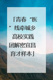 青春“医”线牵城乡 高校实践团解密宜昌育才样本