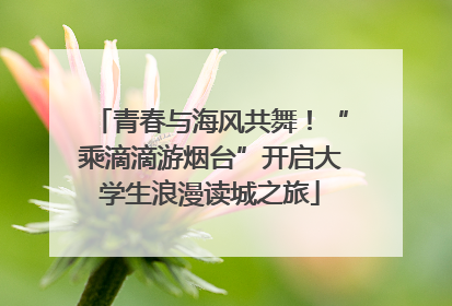 青春与海风共舞！“乘滴滴游烟台”开启大学生浪漫读城之旅