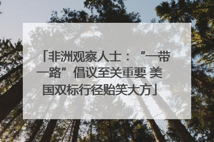 非洲观察人士：“一带一路”倡议至关重要 美国双标行径贻笑大方