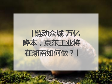 链动众城 万亿降本，京东工业将在湖南如何做？