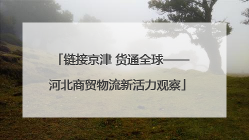链接京津 货通全球——河北商贸物流新活力观察