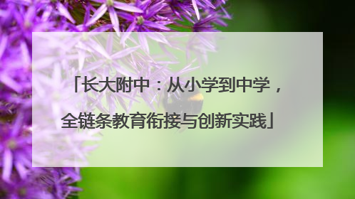 长大附中：从小学到中学，全链条教育衔接与创新实践