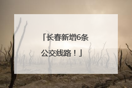 长春新增6条公交线路！