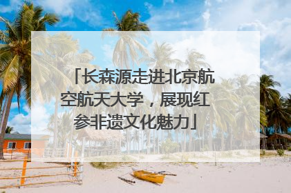 长森源走进北京航空航天大学，展现红参非遗文化魅力