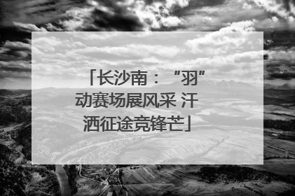 长沙南：“羽”动赛场展风采 汗洒征途竞锋芒