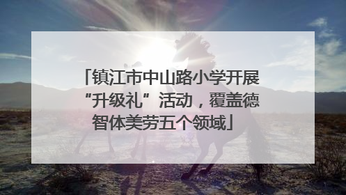 镇江市中山路小学开展“升级礼”活动，覆盖德智体美劳五个领域