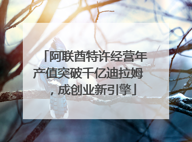 阿联酋特许经营年产值突破千亿迪拉姆，成创业新引擎