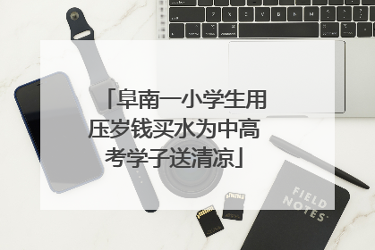 阜南一小学生用压岁钱买水为中高考学子送清凉