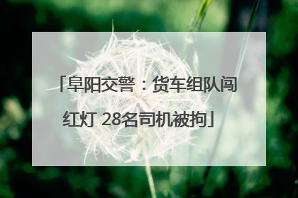 阜阳交警：货车组队闯红灯 28名司机被拘