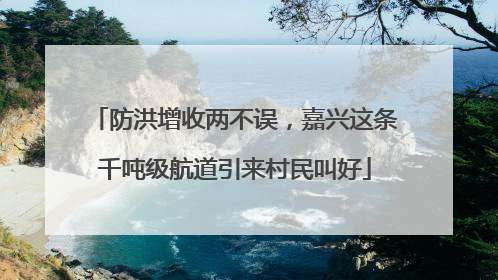 防洪增收两不误，嘉兴这条千吨级航道引来村民叫好