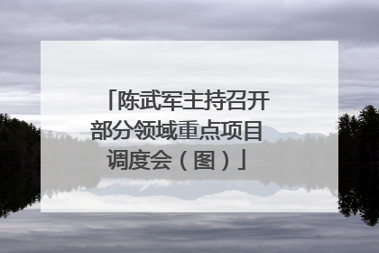 陈武军主持召开部分领域重点项目调度会（图）