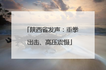 陕西省发声：重拳出击、高压震慑