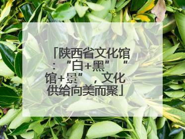 陕西省文化馆：“白+黑”“馆+景”，文化供给向美而聚