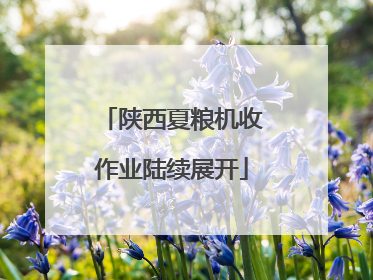 陕西夏粮机收作业陆续展开