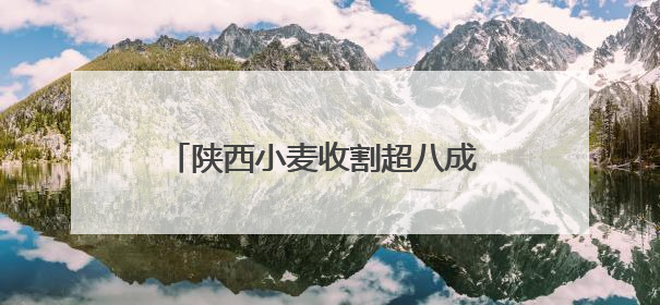 陕西小麦收割超八成 多措并举确保颗粒归仓