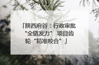 陕西府谷：行政审批“全链发力” 项目齿轮“精准咬合”