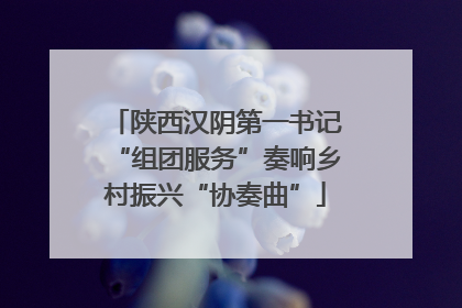 陕西汉阴第一书记“组团服务”奏响乡村振兴“协奏曲”