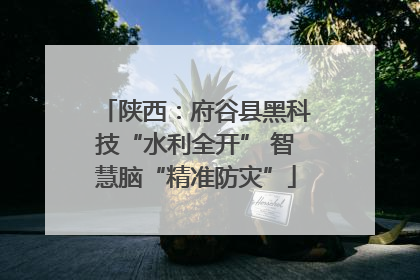 陕西：府谷县黑科技“水利全开” 智慧脑“精准防灾”