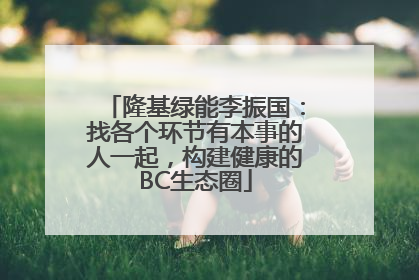 隆基绿能李振国：找各个环节有本事的人一起，构建健康的BC生态圈