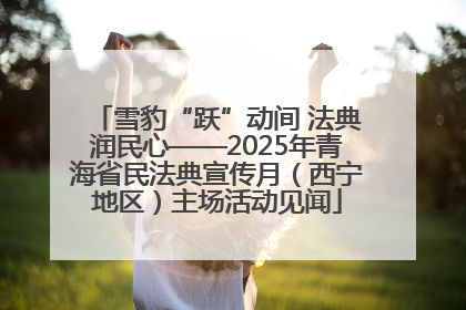 雪豹“跃”动间 法典润民心——2025年青海省民法典宣传月（西宁地区）主场活动见闻