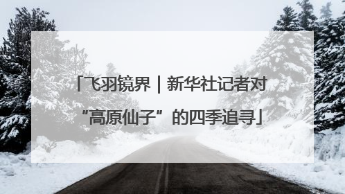 飞羽镜界｜新华社记者对“高原仙子”的四季追寻