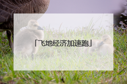 飞地经济加速跑