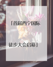 首届西宁国际徒步大会启幕